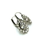 Mariana Earrings Radiant Floral Clear Austrian Crystals On A Clear Day Sweet Summer Coll. - Image 3