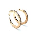 Mariana Earrings Hoop Beaded Clear AB Austrian Crystals My Treasures Coll.