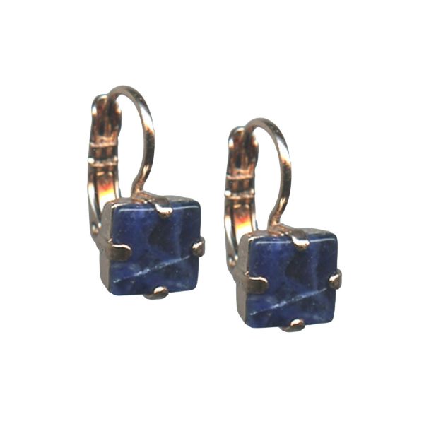 Mariana Earrings Gorgeous Sodalite Mineral Austrian Crystals  My Treasures Coll.