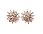 Earrings By Mariana My Treasures Coll. Exquisite Star Clear Swarovski Crystals