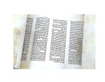 Rare 19th Century Tifara Torah Scroll - Beautiful Ashkenazi Judaica Parchment with Rich History - Image 5