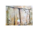 Oil Painting A Spectacular Judaica The Western Wall Jerusalem, Praying - Image 2